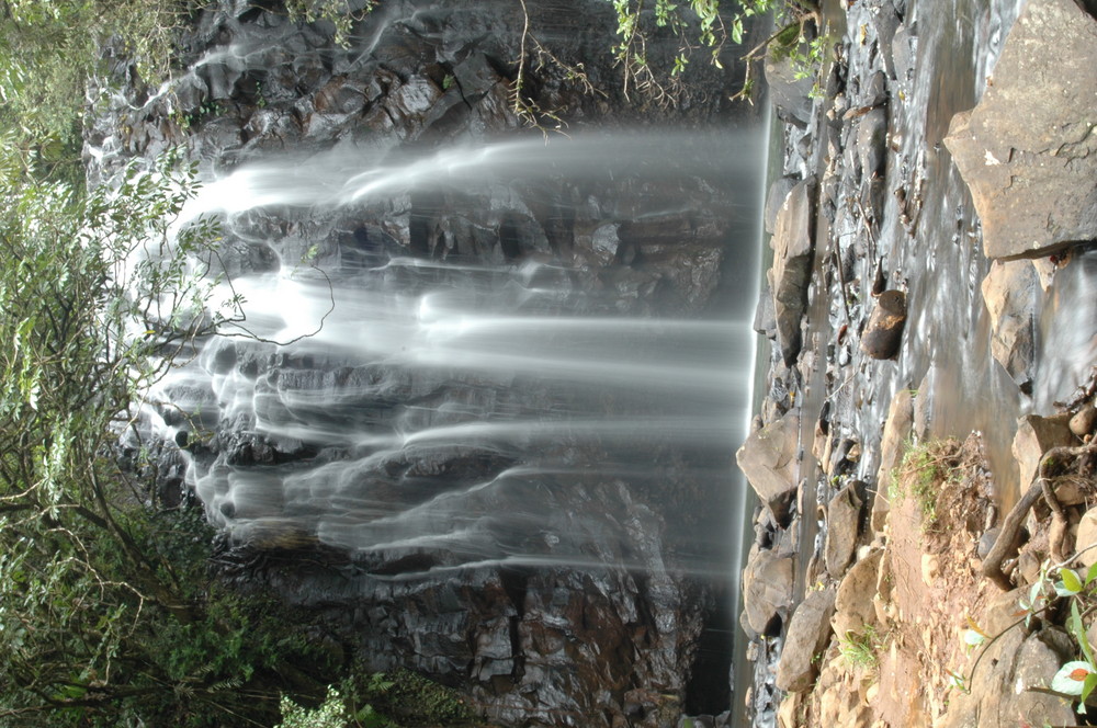 waterfall in the rainforest