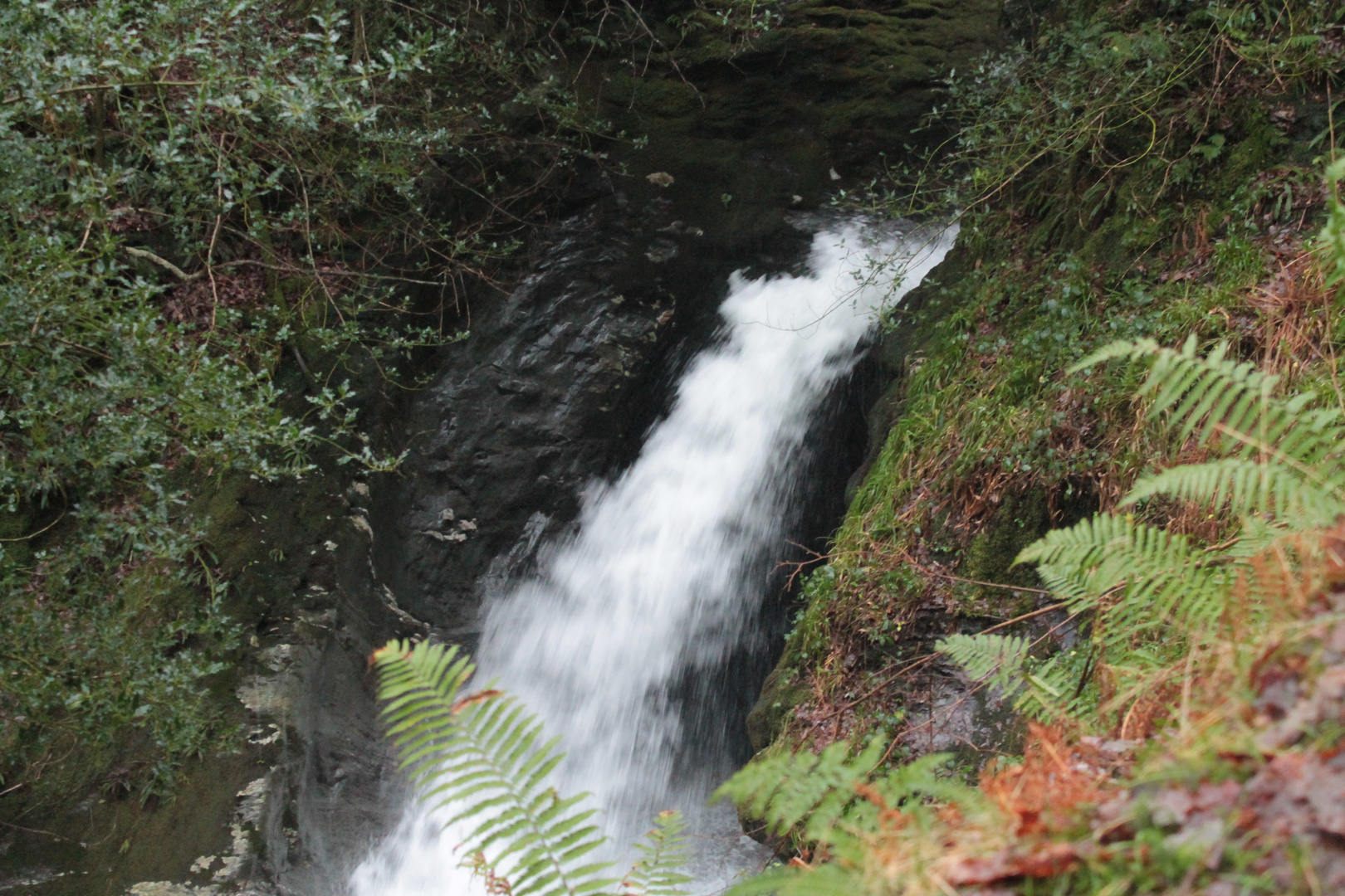 Waterfall in Wicklow