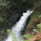 Waterfall in Wicklow