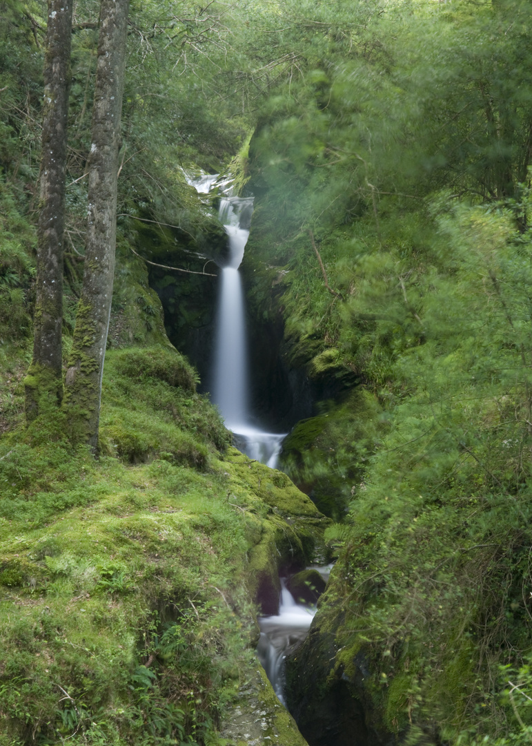 Waterfall near Glendalough, County Wicklow.