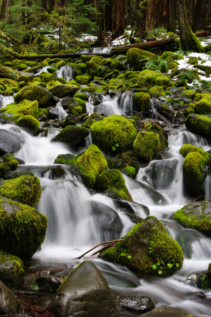 waterfall Olympic Nationalpark