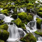 waterfall Olympic Nationalpark