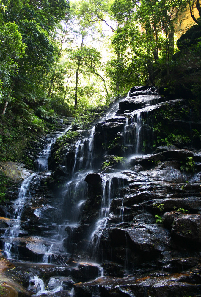 Waterfall on a trail at the Blue Mountins