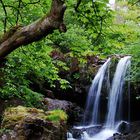 Waterfall On The Campsie Fells