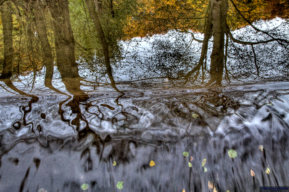 Waterfall or Fall Water ?