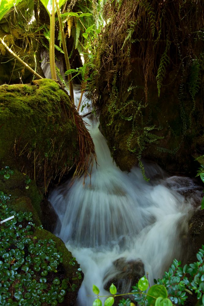 Waterfall Shungai Buhloh