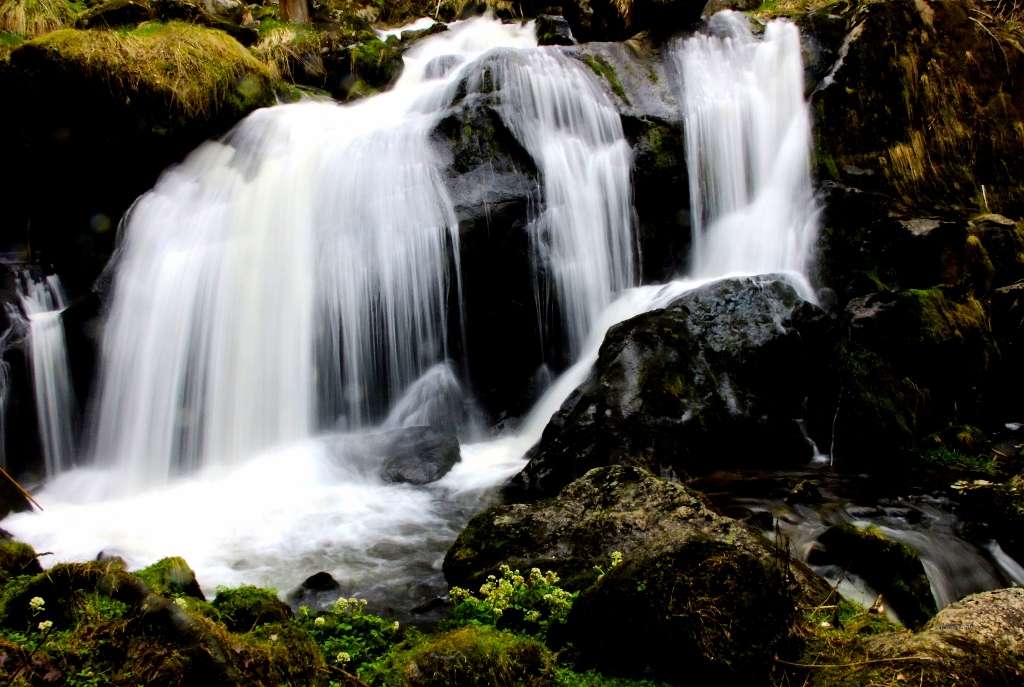 Waterfall ( Triberg )