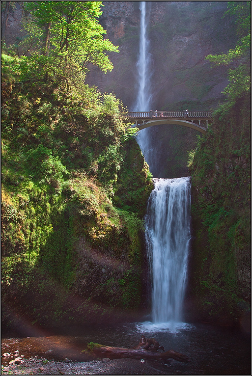 Waterfall Wonderland