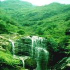 Waterfall__Darjiling2