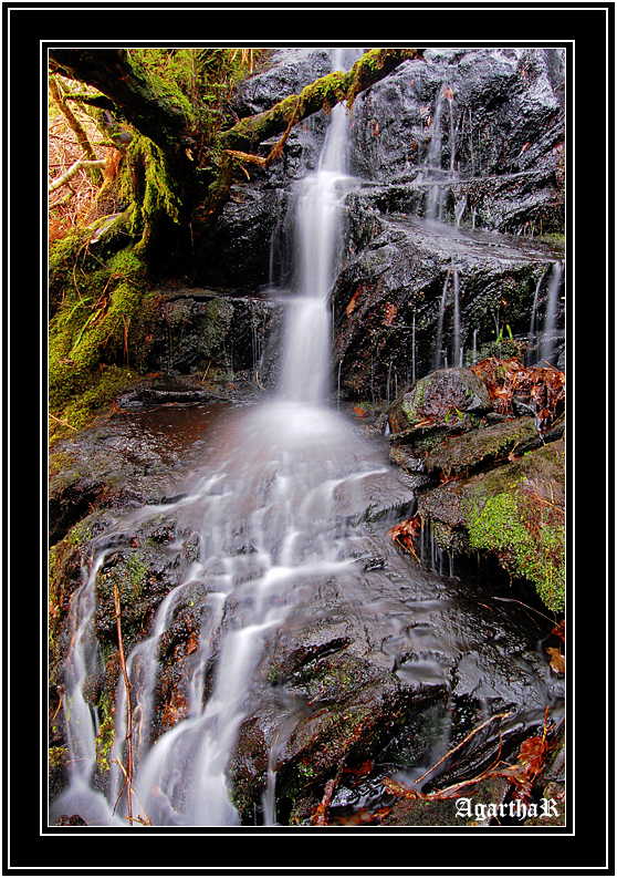 Waterfalls in Killarney