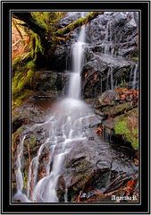 Waterfalls in Killarney