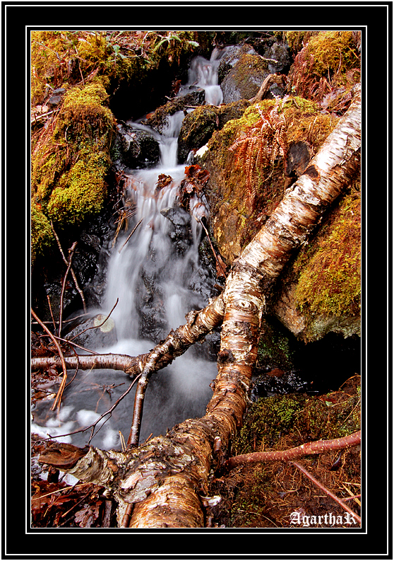 Waterfalls in Killarney national park