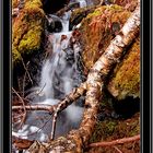 Waterfalls in Killarney national park