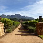 WATERFORD WEINGUT STELLENBOSCH