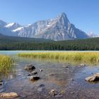 Waterfowl Lake