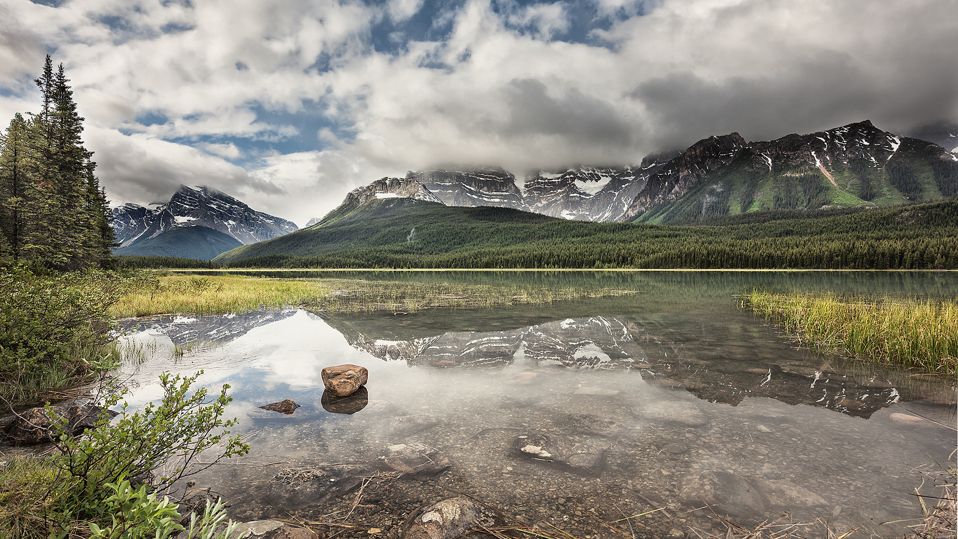 Waterfowl Lake