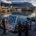 Waterfront mit Blick auf Tafelberg