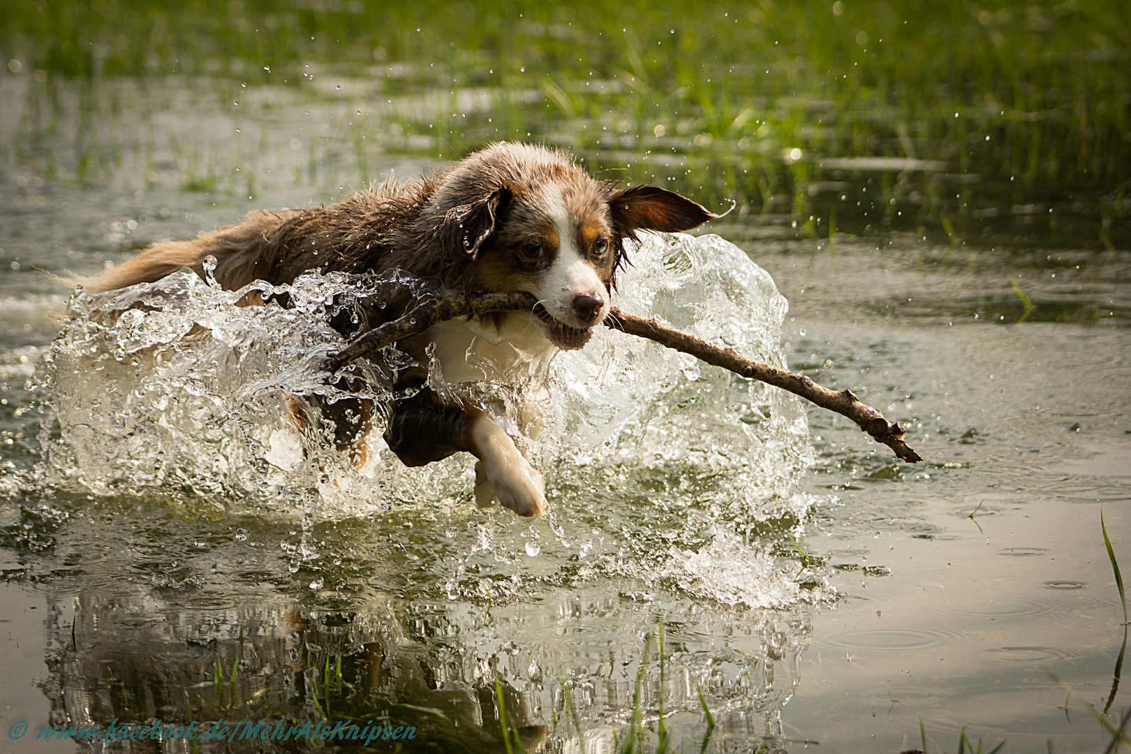 Waterfun :-)