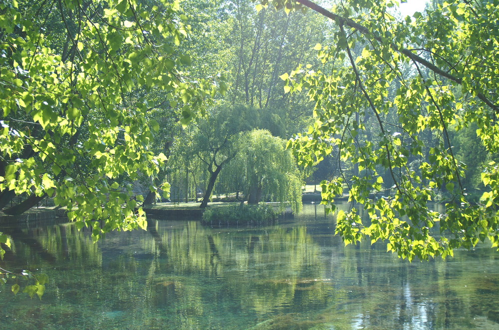 watergreensight