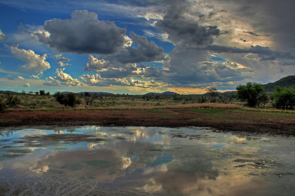 Waterhole