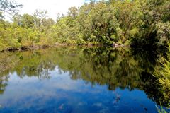 WATERHOLE