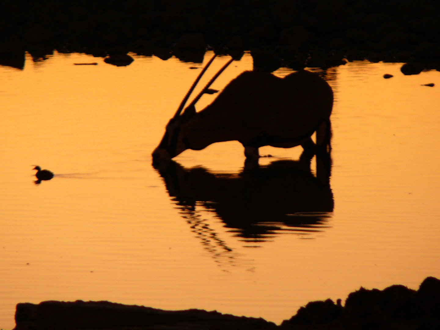 Waterhole...