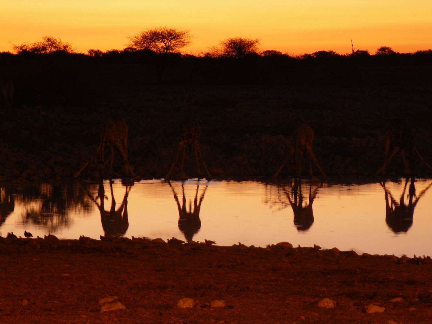 Waterhole...