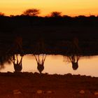 Waterhole...