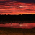 Waterhole by night in Okaukuejo