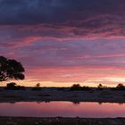 Waterhole Sunset