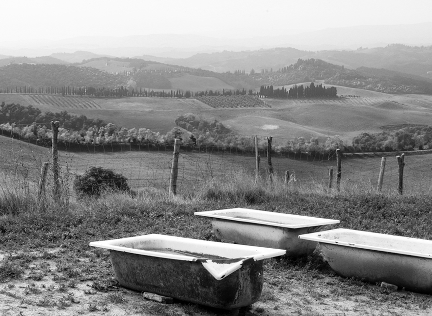 watering cans for sheep