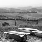 watering cans for sheep