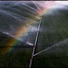 Watering The Lawn