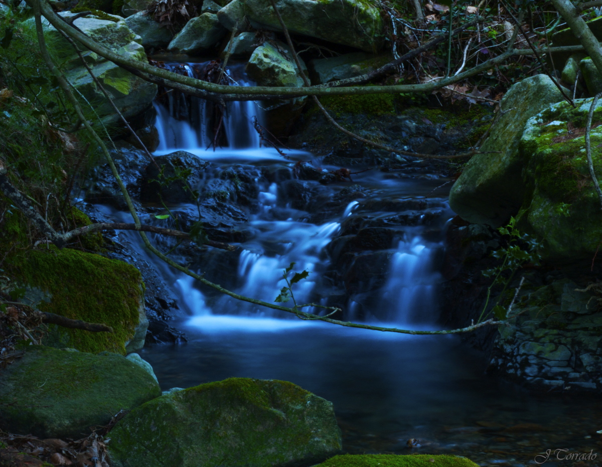 WaterLights