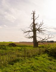 Waterloo - Ferme d'Hougoumont - 11