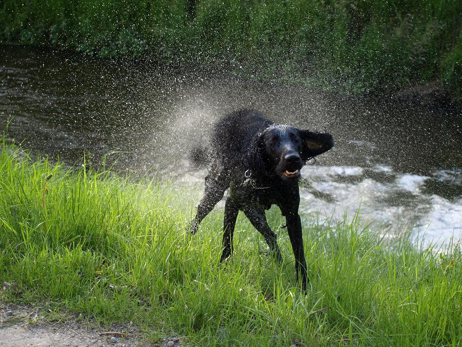 Waterlover