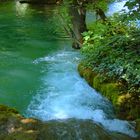 waterparadise at the krka waterfalls (3)