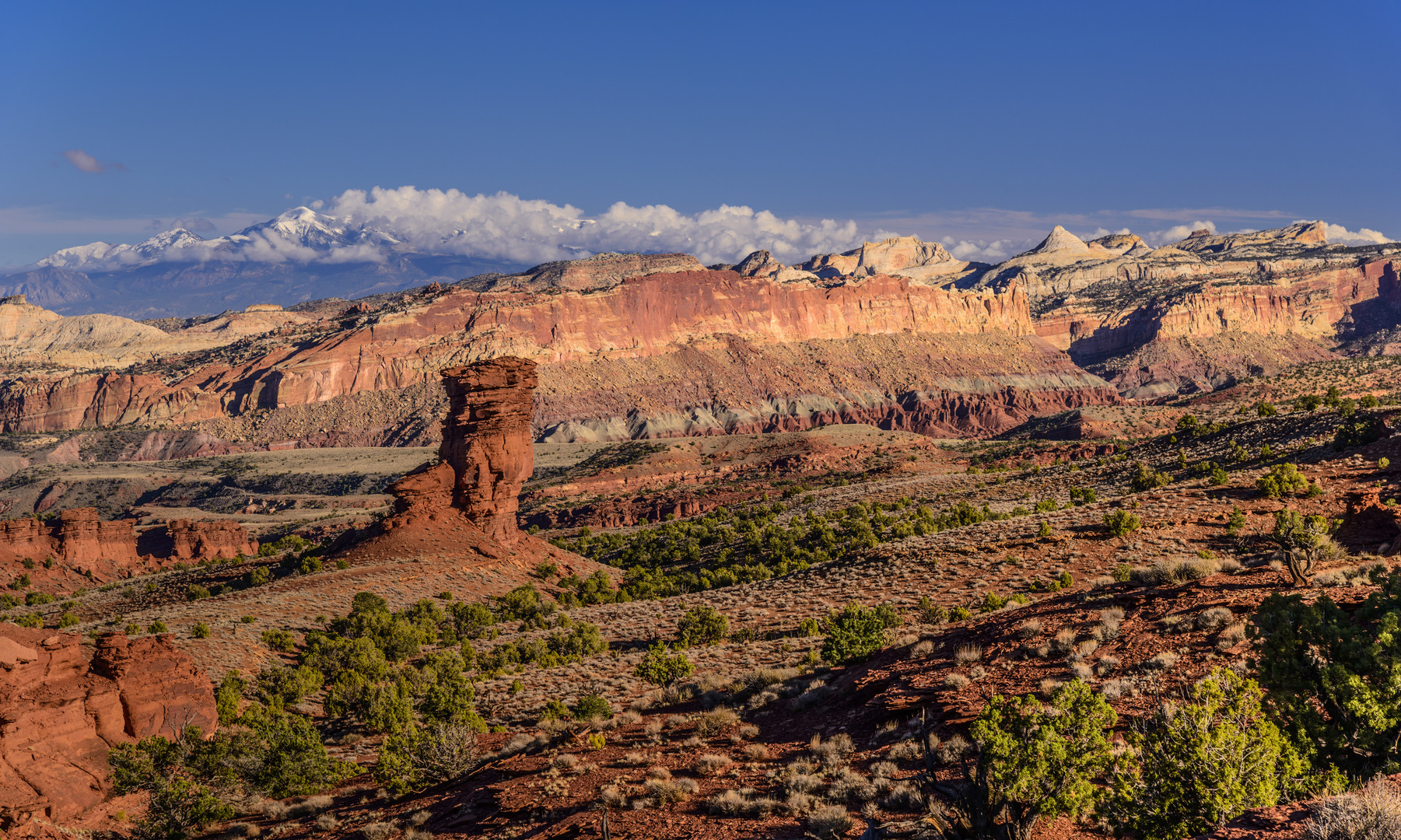 Waterpocket Fold mit Henry Mountains, Capitol Reef NP, Utah, USA