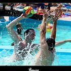 ***...waterpolo...***