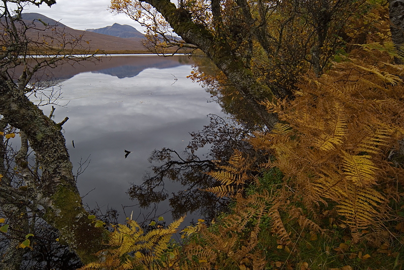 Waterreflection #2