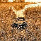 Waters edge (sepia)