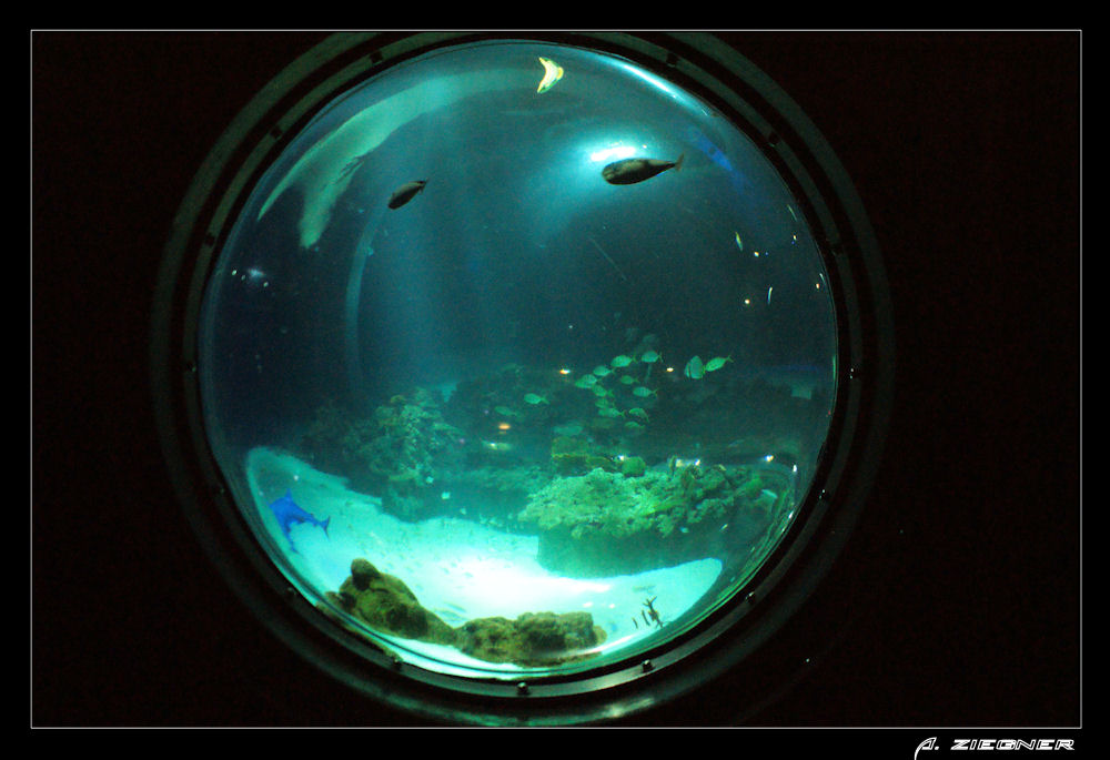 Waterworld - Hagenbeck