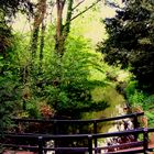 Watery Bridge