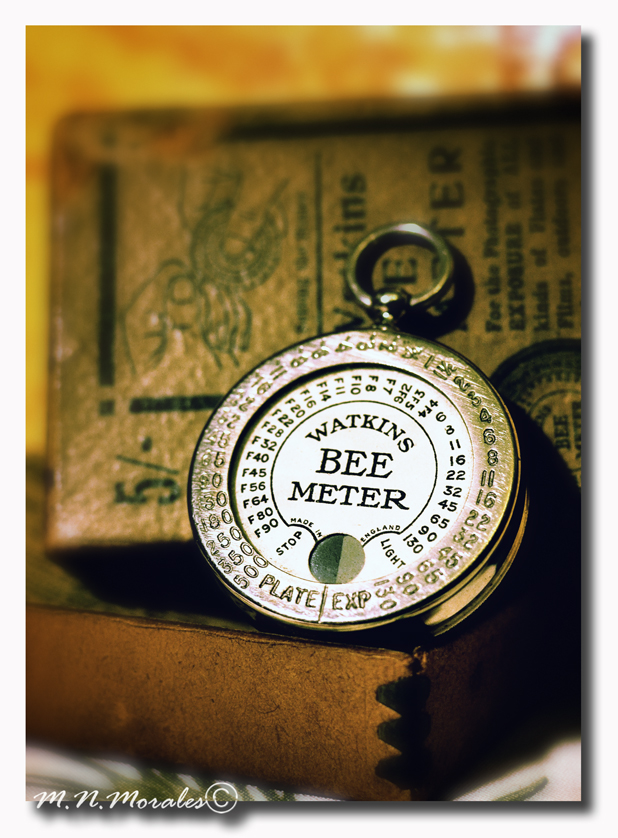 Watkins Bee meter