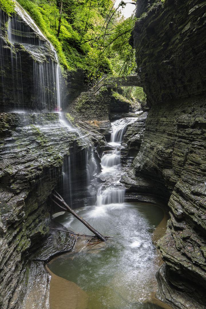 Watkins Glen