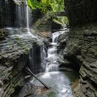 Watkins Glen