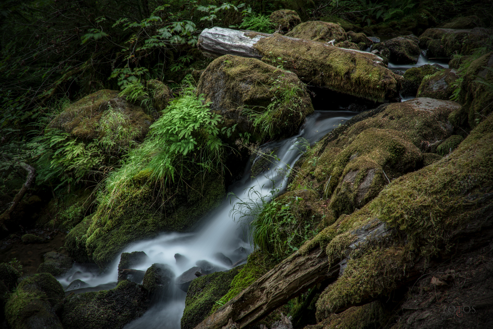 Watson Falls 