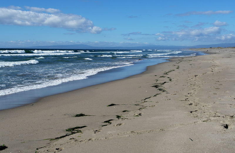 Watsonville Beach, CA