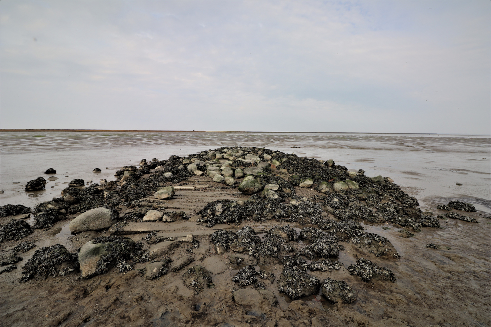 Watt.... Foto & Bild bilder, fotos, spezial Bilder auf