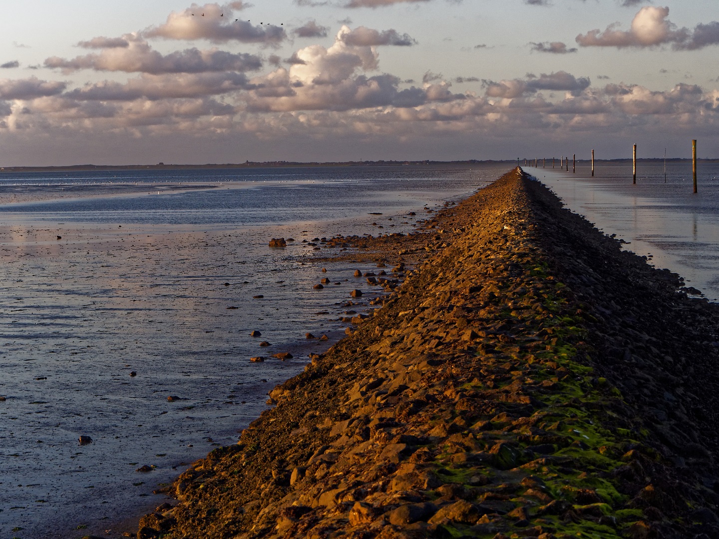 Watt am Abend in Neuharlingersiel